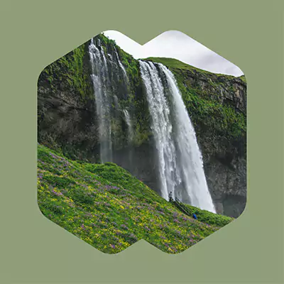 Social media post of nature.