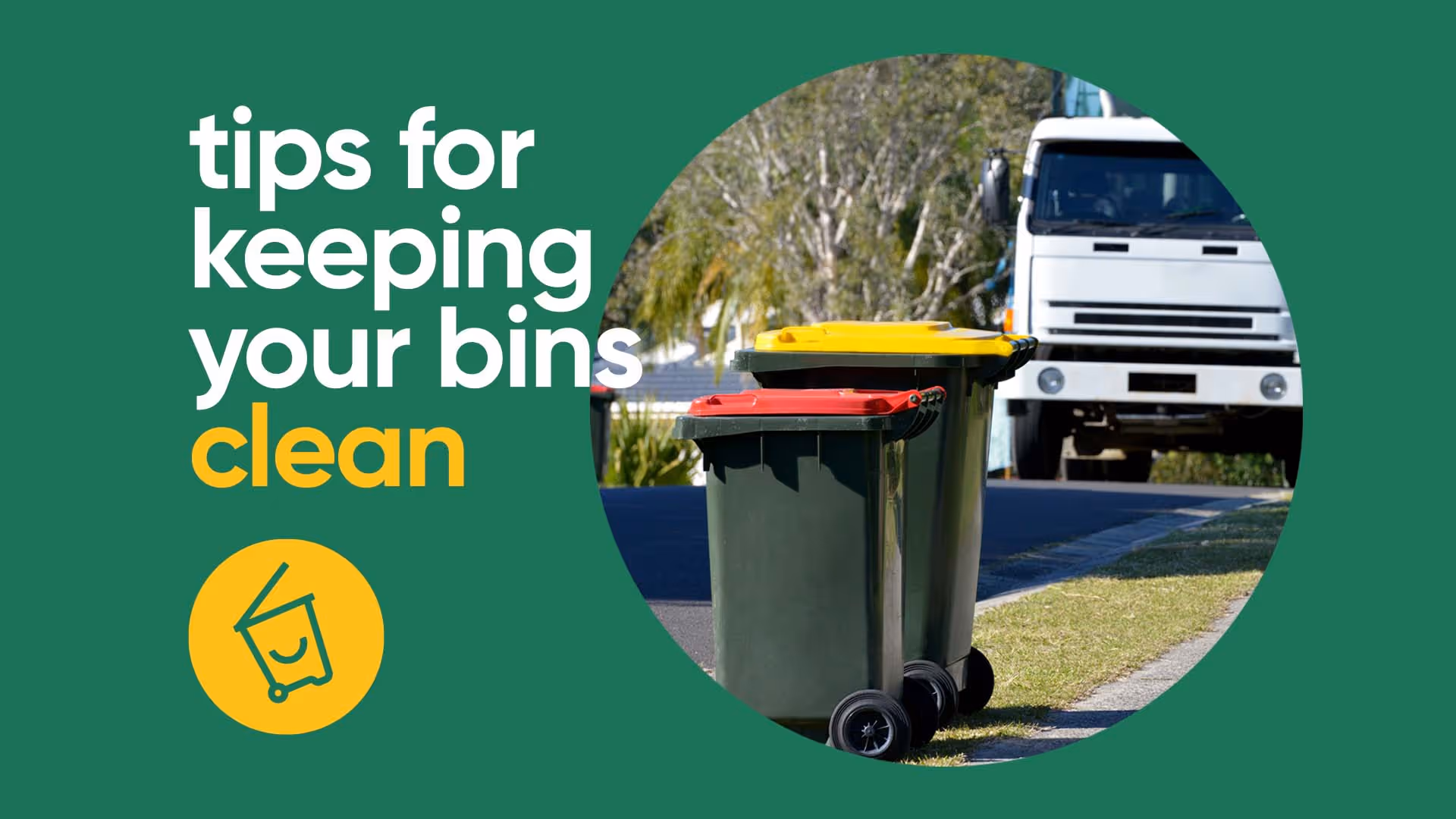 win with bins and habits