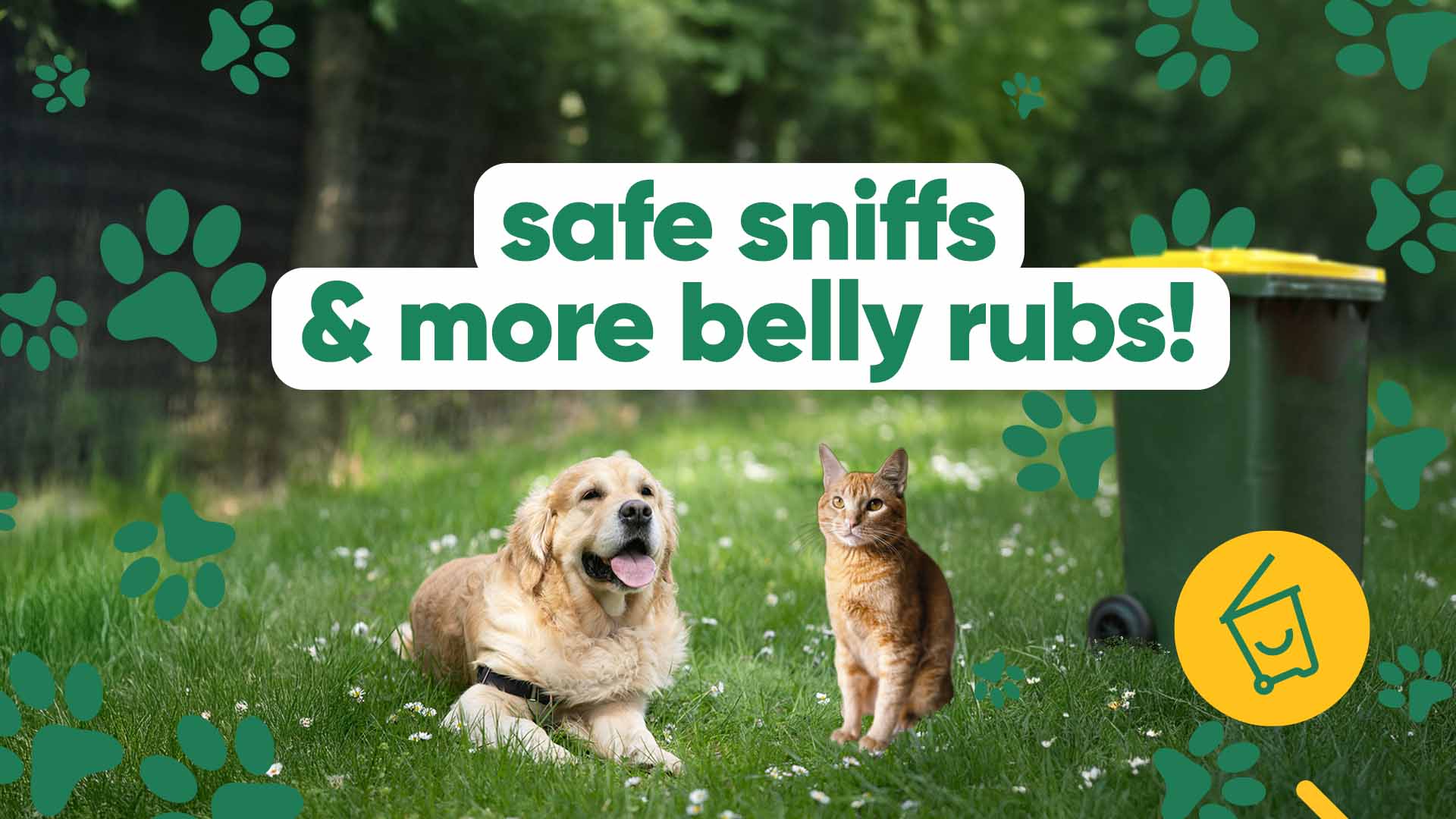 give your pets a cleaner world to explore