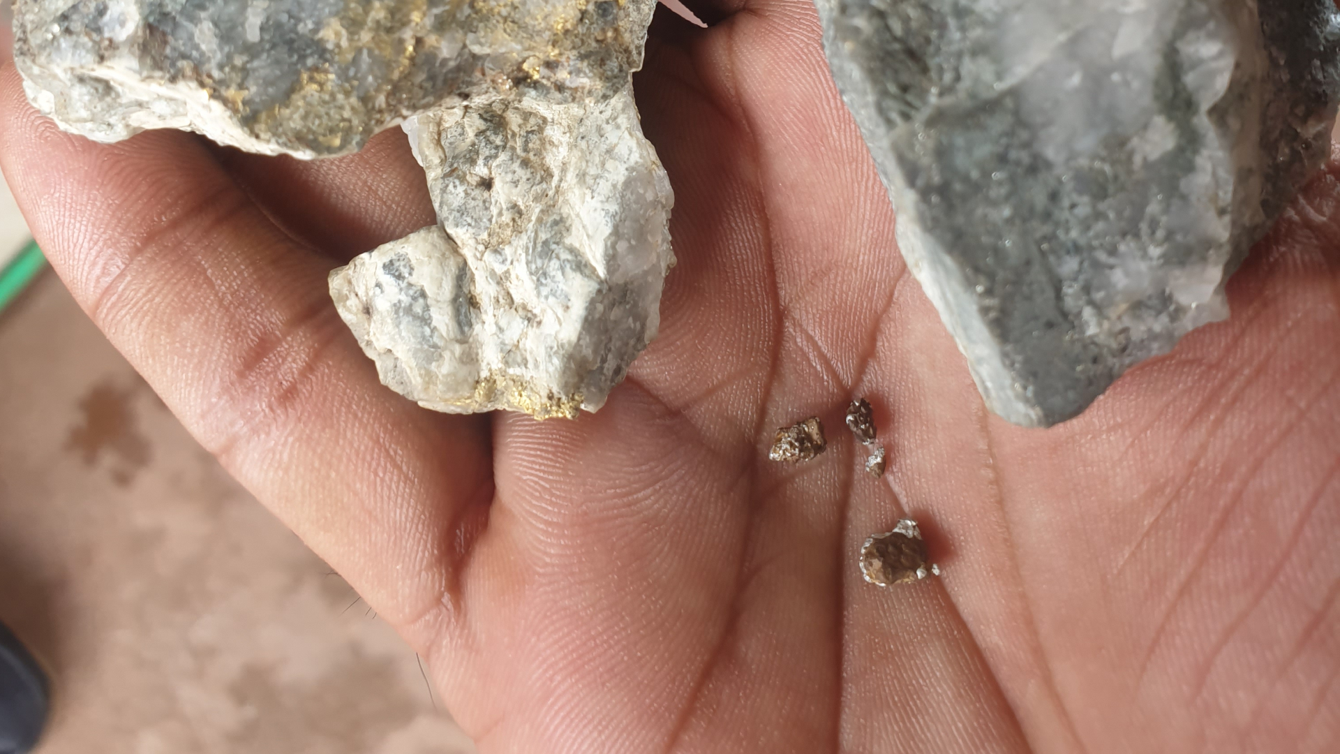 Beyond Gold: Rethinking the Economy and Livelihoods in Guyana’s Artisanal Mining Sector