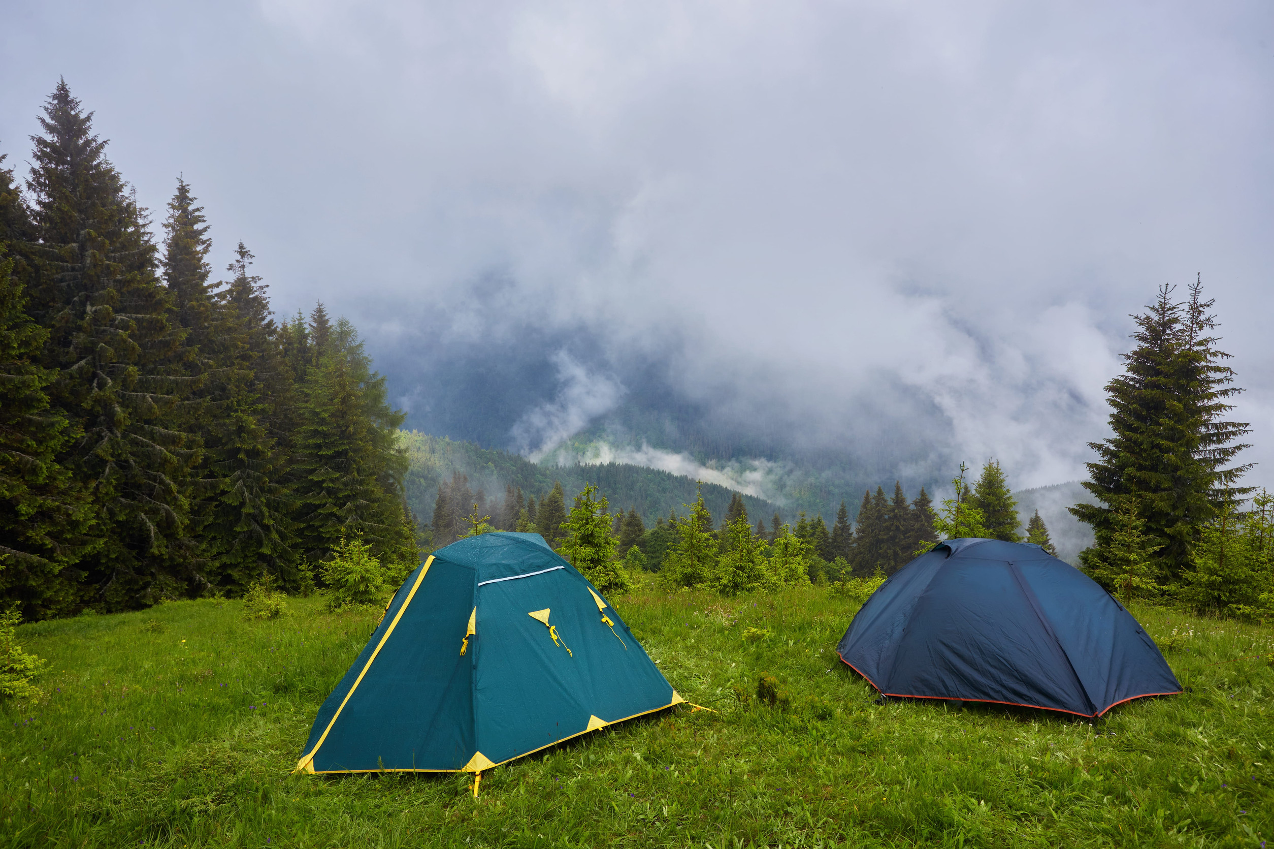 Welcoming first-time camping in the Smoky Mountains near Cosby TN