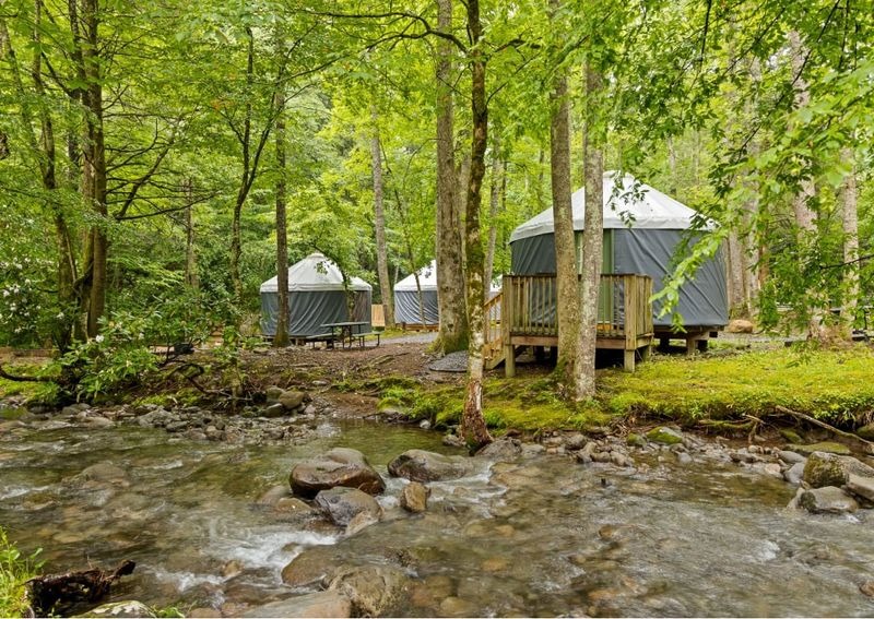 Welcoming first-time camping in the Smoky Mountains near Cosby TN