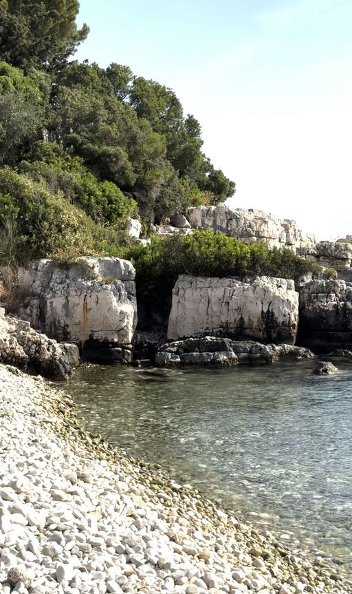 Screenshot 2024-07-28 alle 16.42.59.jpg