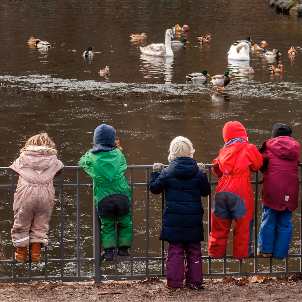 Fünf Kinder in bunter Winterkleidung lehnen an einem Metallgeländer und beobachten Schwäne und Enten auf einem ruhigen Teich.