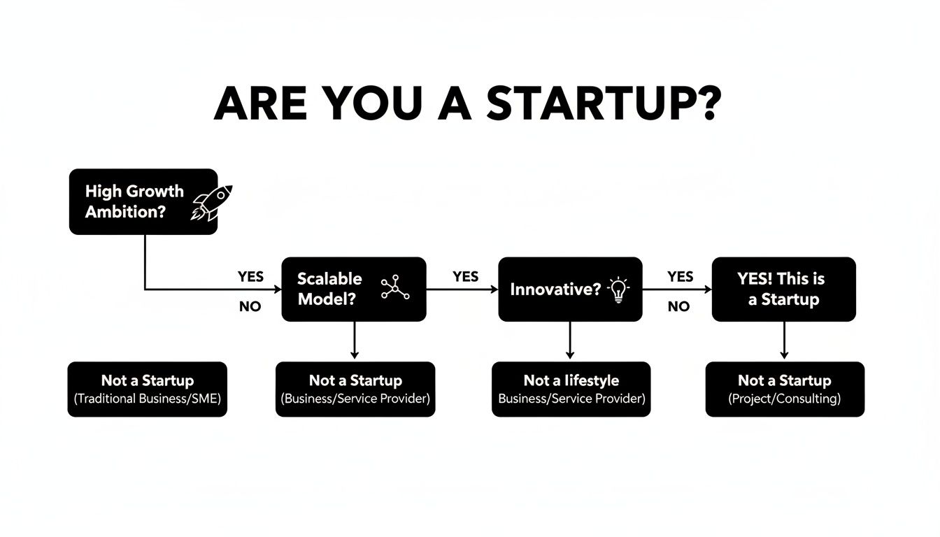 Flowchart determining if a business is a startup based on high growth ambition, scalability, and innovation.