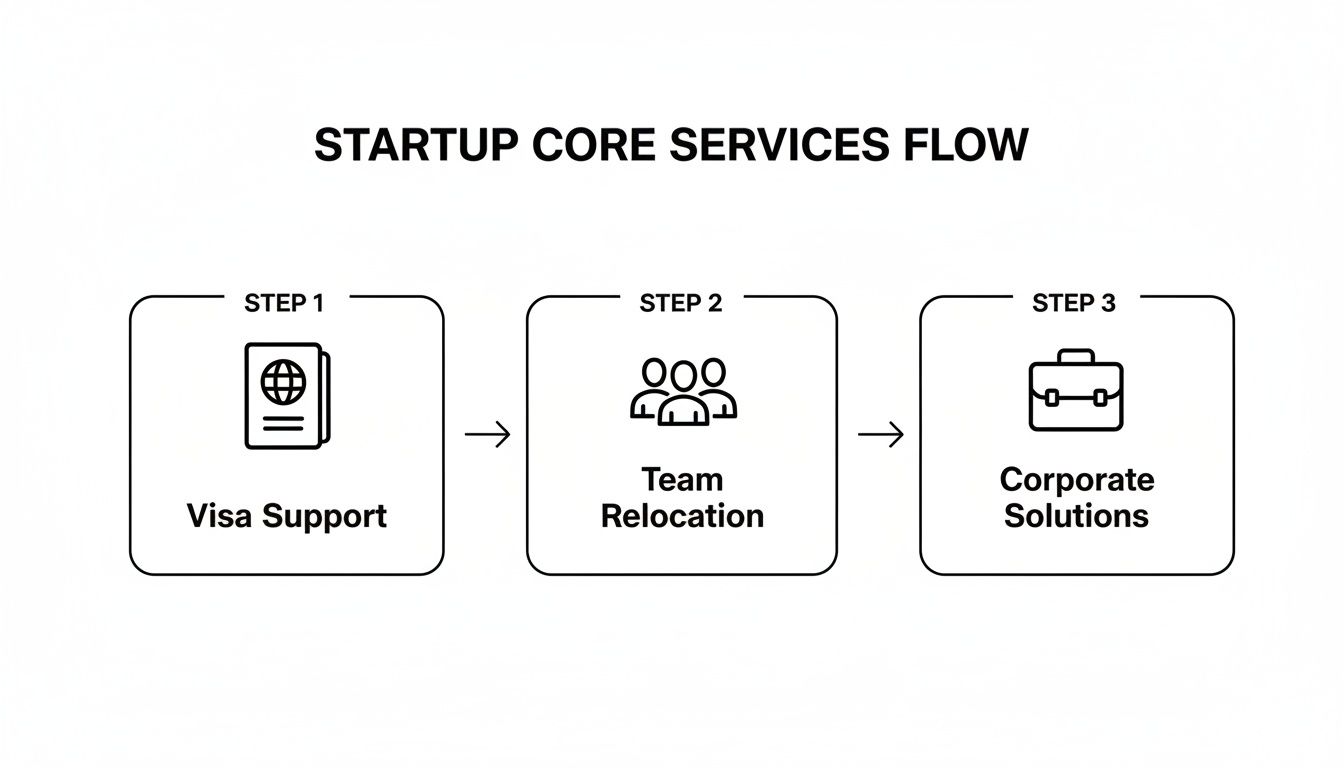 A flow diagram showing startup core services: Step 1 Visa Support, Step 2 Team Relocation, Step 3 Corporate Solutions.