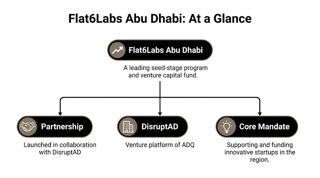 An infographic titled Flat6Labs Abu Dhabi, illustrating its role as a seed-stage program and venture capital fund.