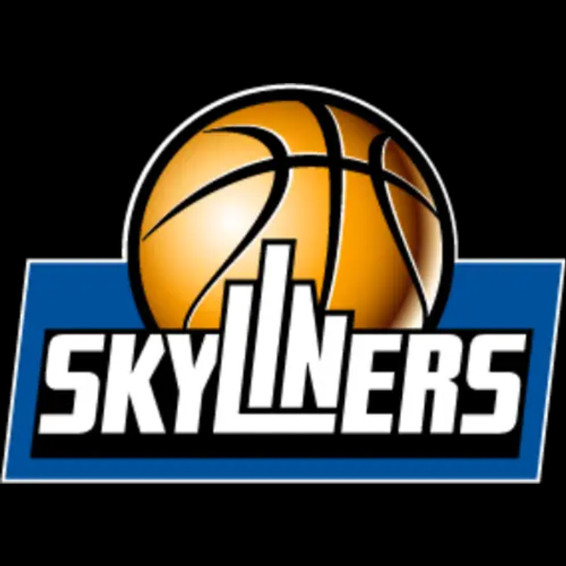 Logo SKYLINERS
