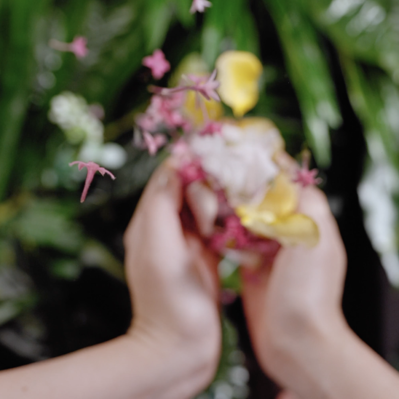 hands holding flowers