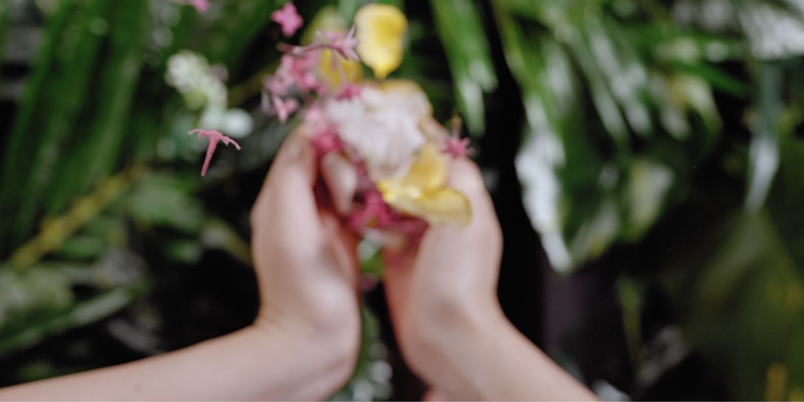 hands holding flowers