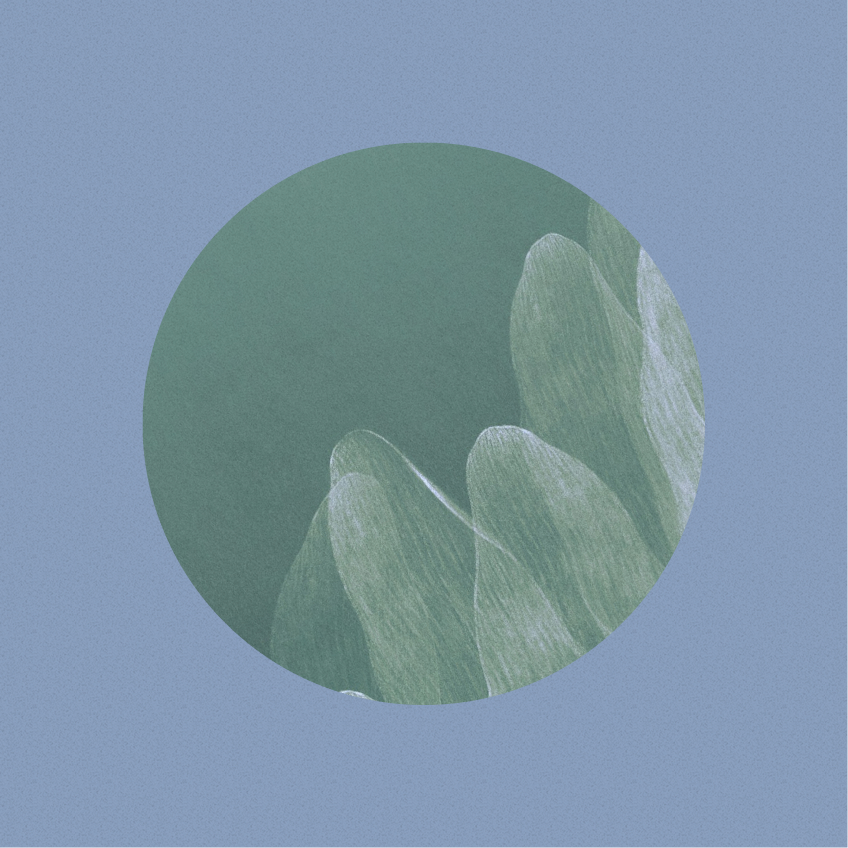 abstract plant matter