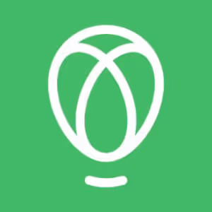Connection Icon