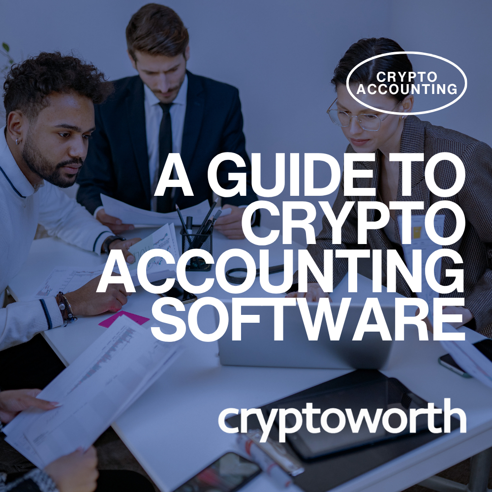 Finance professionals reviewing financial data for a guide to crypto accounting software by Cryptoworth
