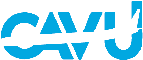 Chase Logo