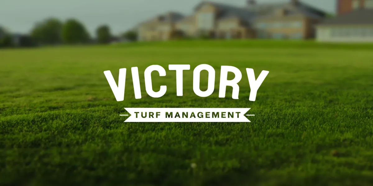 Victory Landscapes - Landscaping in Dallas