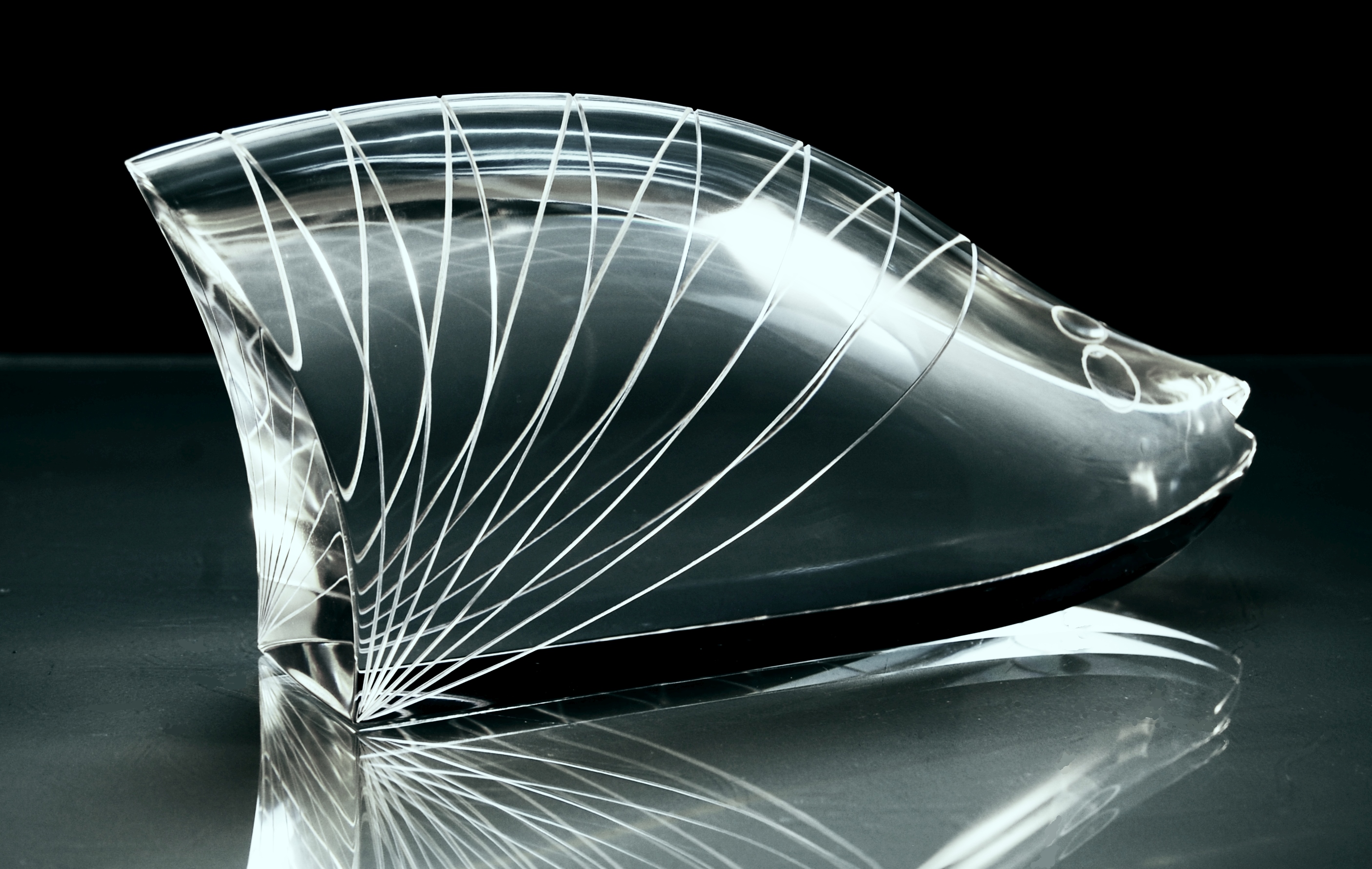 Ryba křišťálová