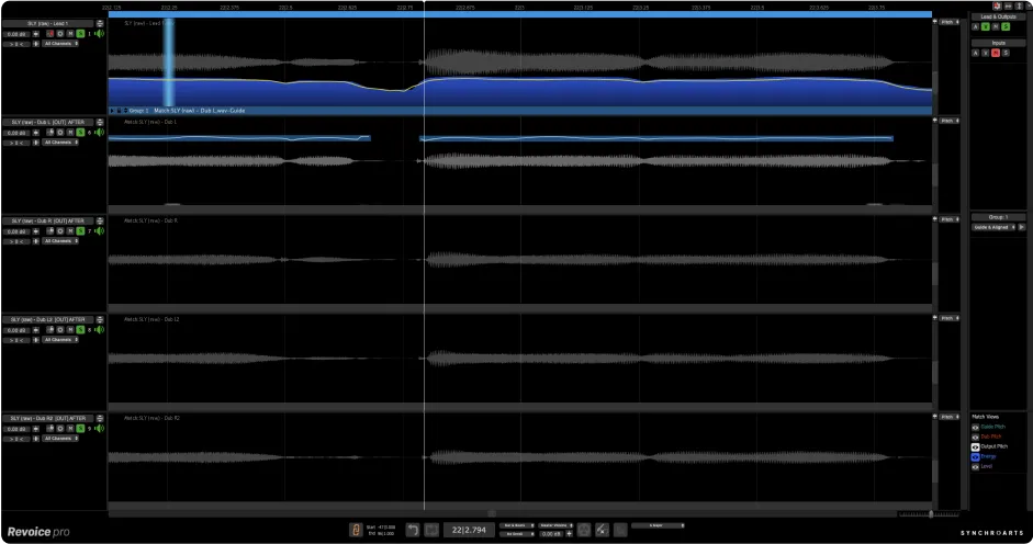 ReVoice Pro vocal processing software