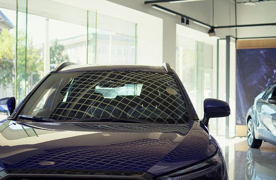 Windshield Protection