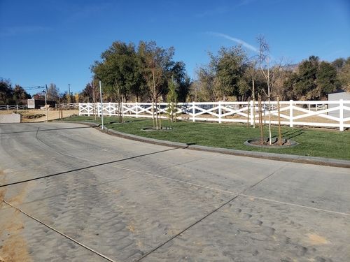 Curved concrete driveway bordered by green grass and young trees with a white wooden fence and tall trees in the background under a clear blue sky.