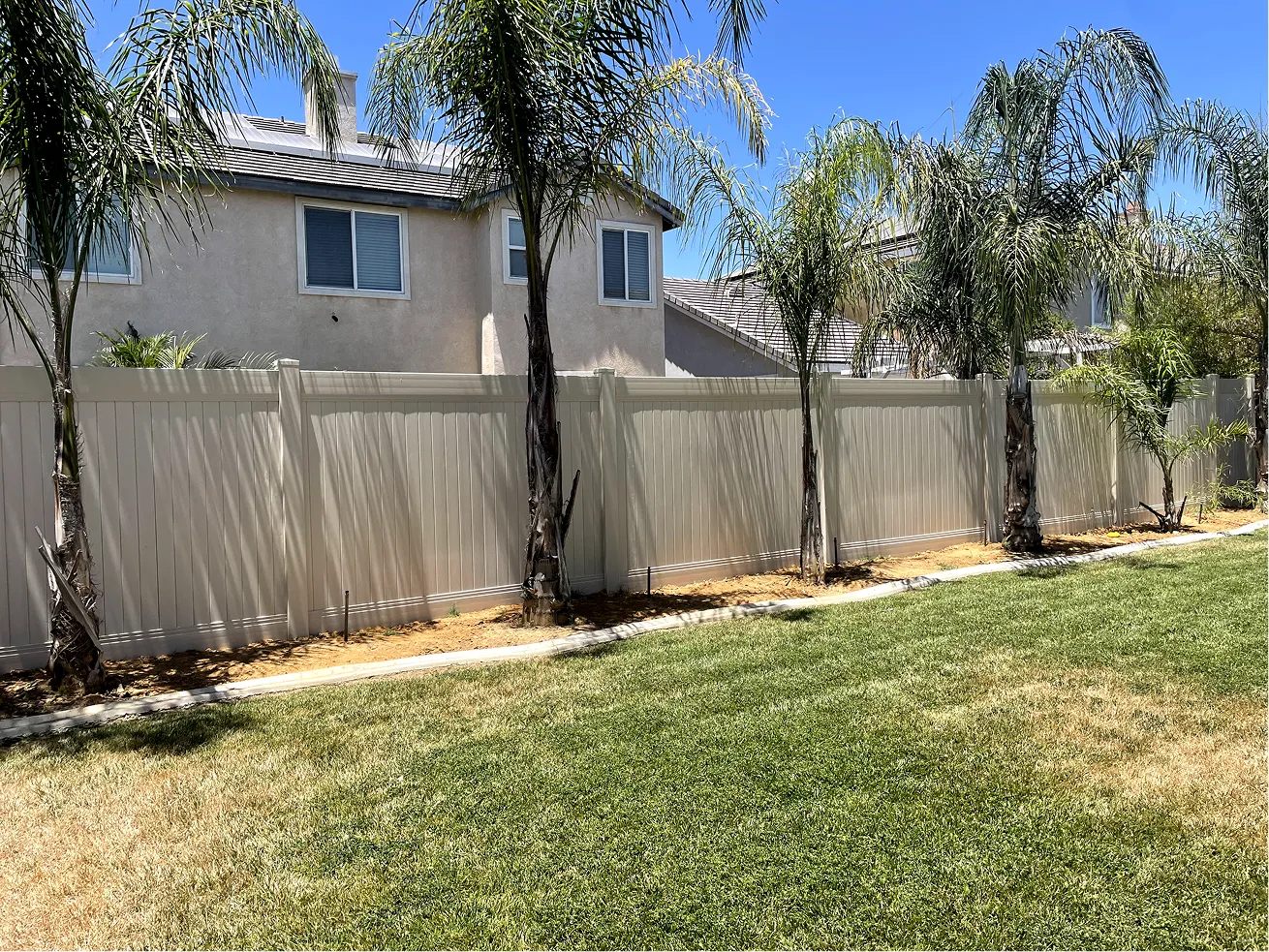 Backyard with green grass, several palm trees, and a tall white vinyl privacy fence in front of two beige houses.