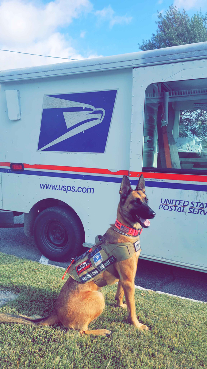 Athena, a belgian malinois, sits in front of her postal truck.