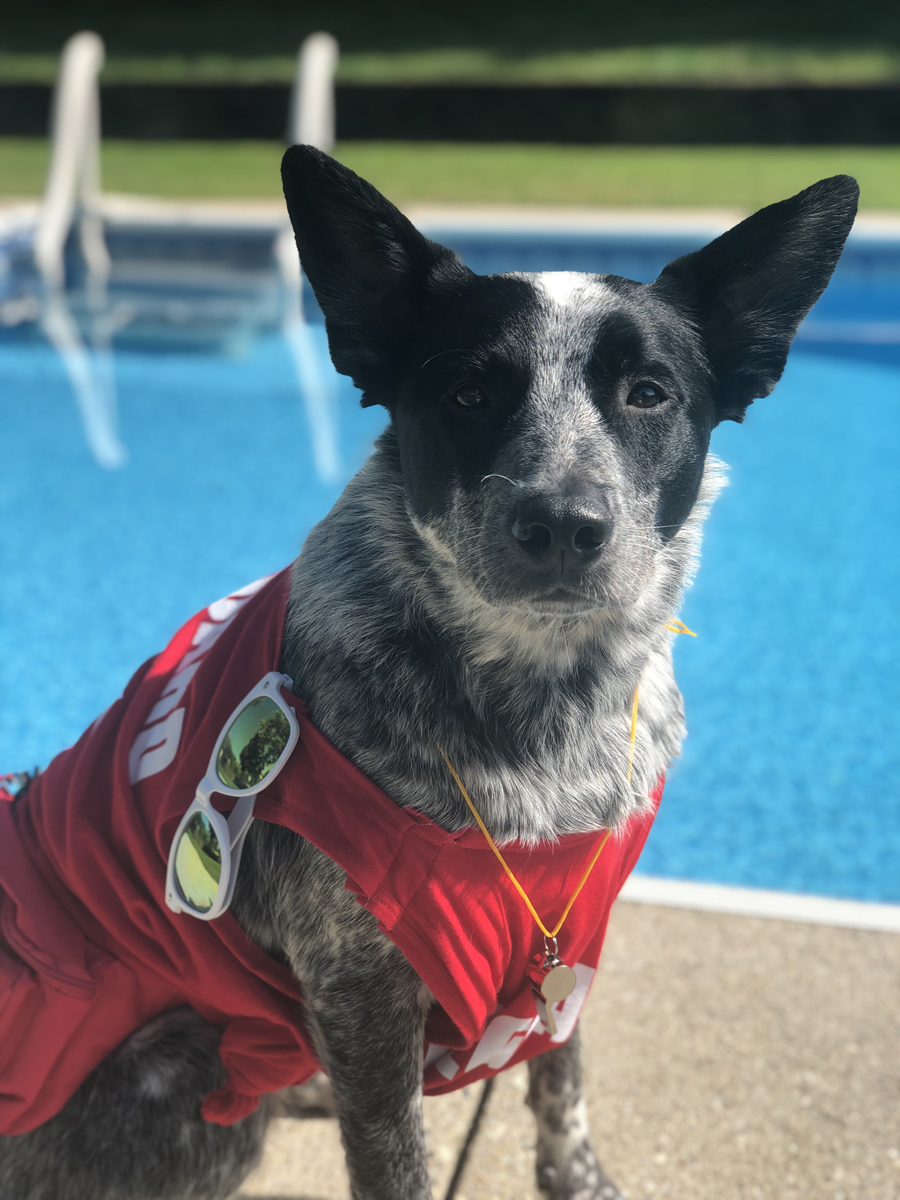 Riley watches over the pool in their lifeguard shirt.