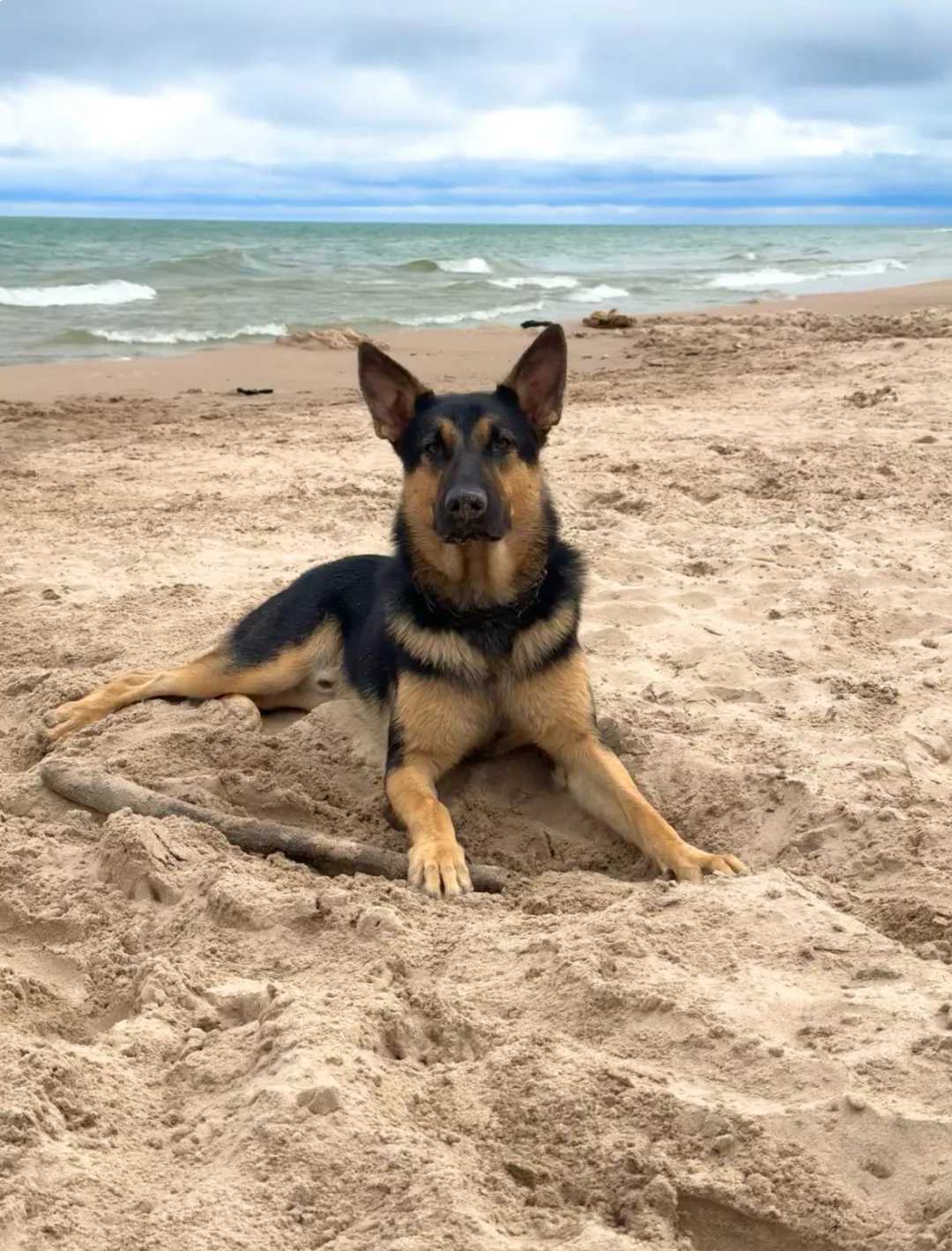 Max laying in the sand