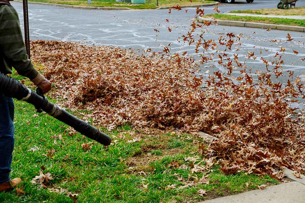 A worker using a blower to move a large pile of brown leaves off a lawn toward the curb