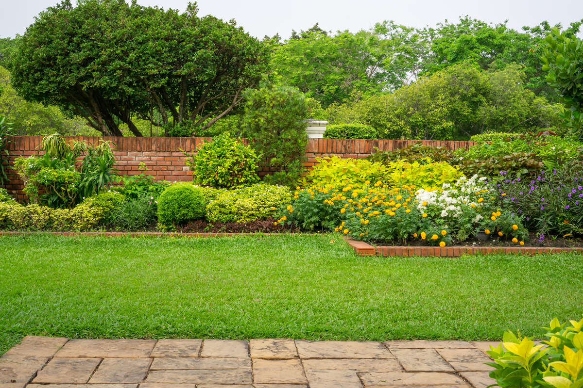 A landscape bed of clipped shrubs and small ornamental trees with brick edging beside a green lawn