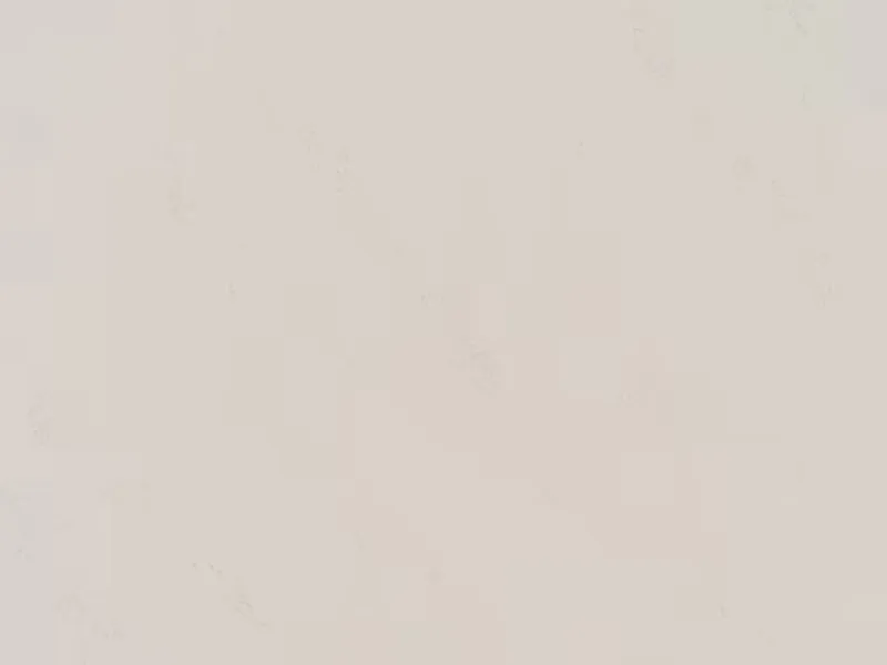 Light beige quartz surface with subtle, delicate gray veining throughout.