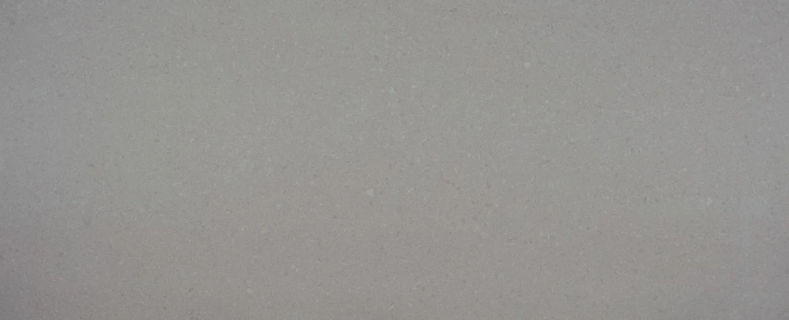 Close-up texture of a solid light gray countertop surface with subtle speckling.