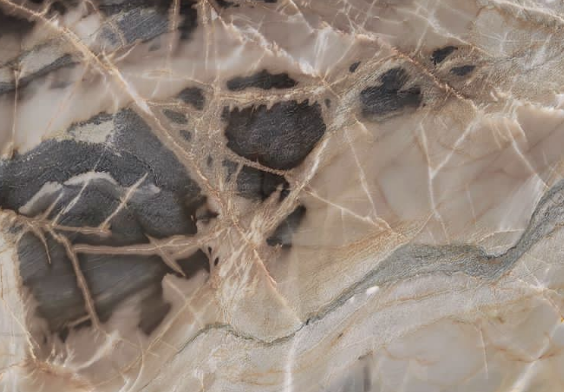 Tan and gray quartzite slab with dark netted veining