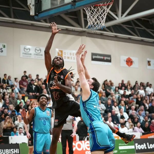 420885944 890492786414528 1520368555995769104 N