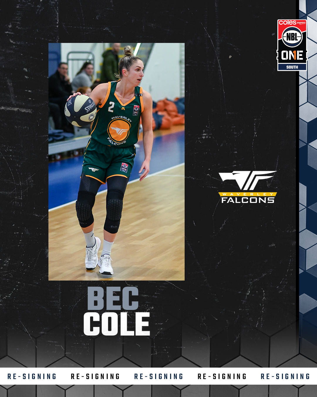 Bec Cole