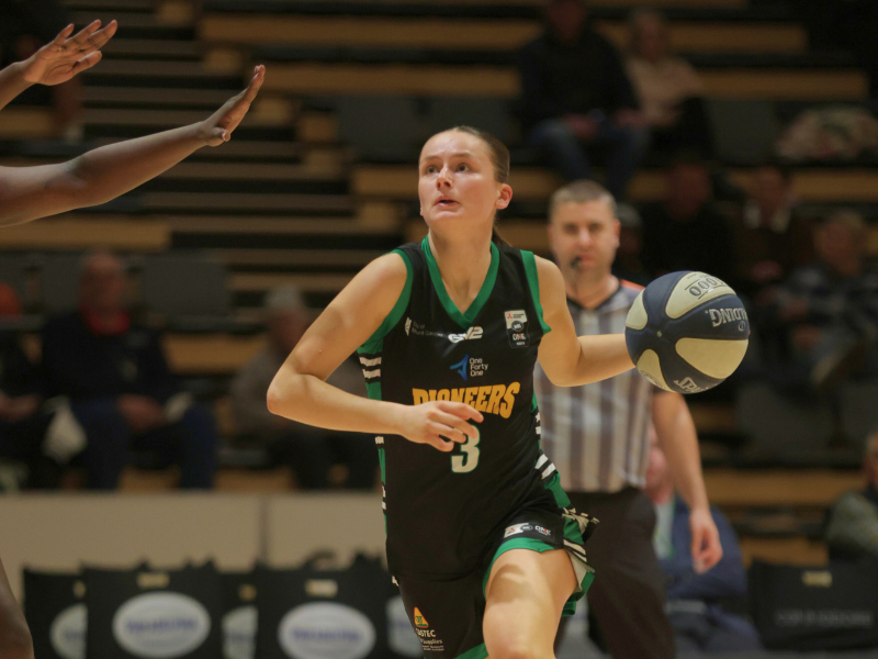 Website Artworks (9)