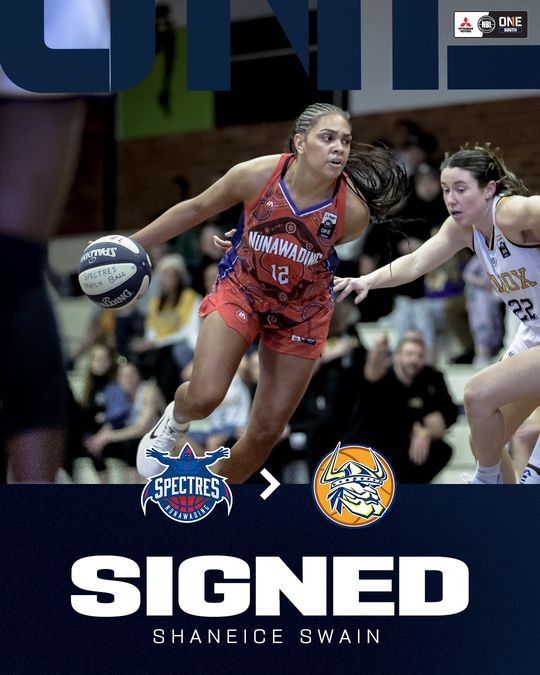 Snap Insta.to 662372575 18067421678660525 6887982268811834655 N