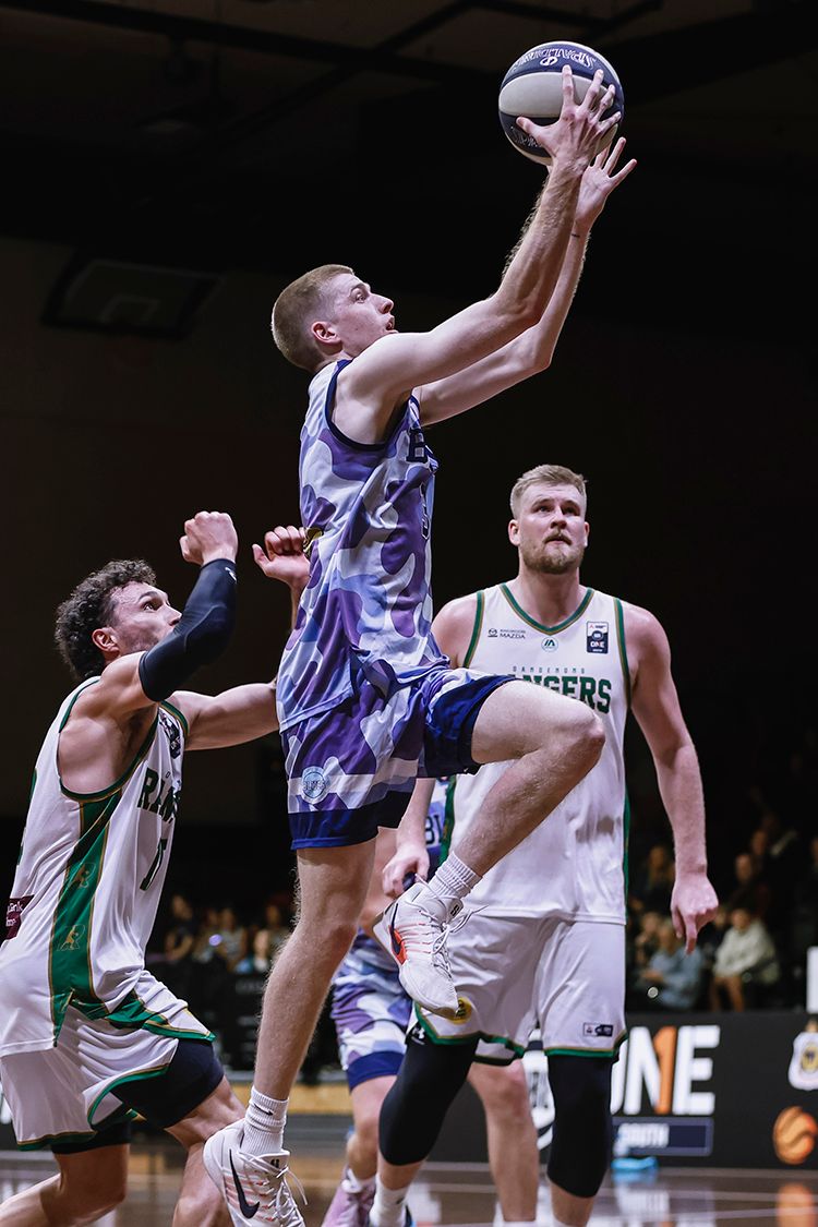 Tmp 20260411 Austin Shelley 1169
