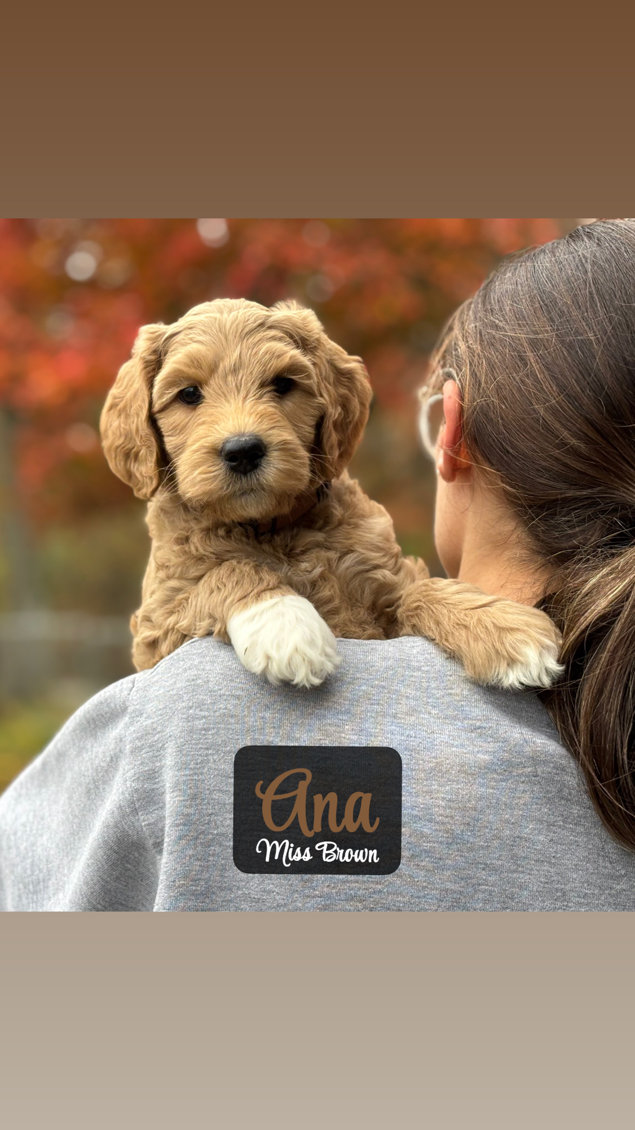 Princess Ana - Placed in Furever Home