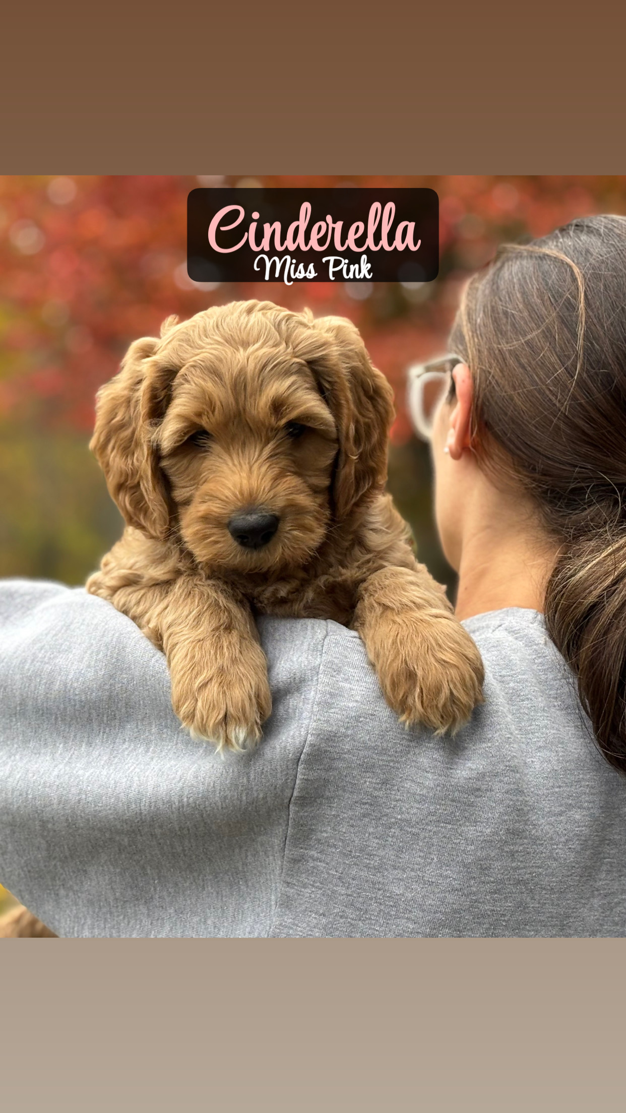 Princess Cinderella - Available