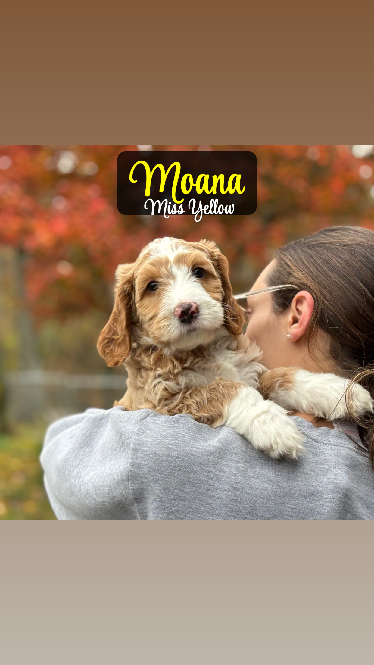 Princess Moana - Pending