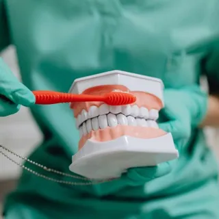 a demonstration of a brush cleaning a denture