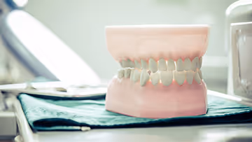 A dental model of human teeth and gums placed on a green cloth in a dental clinic setting with blurred dental equipment in the background.