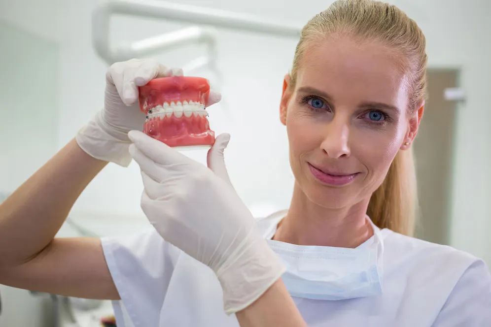 Dental professional holding a full-arch model of teeth