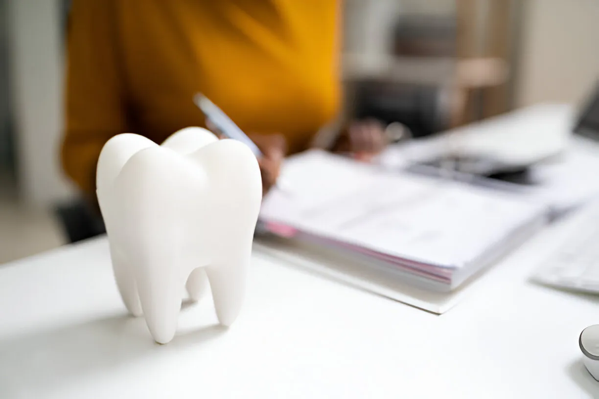 Model tooth on a desk during a dental consultation