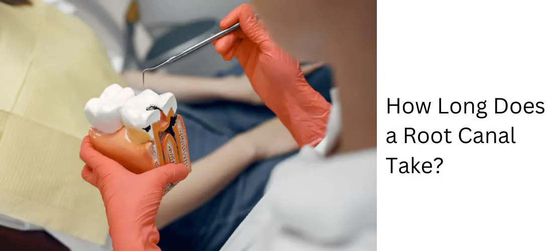Gloved hands performing a root canal on a tooth model