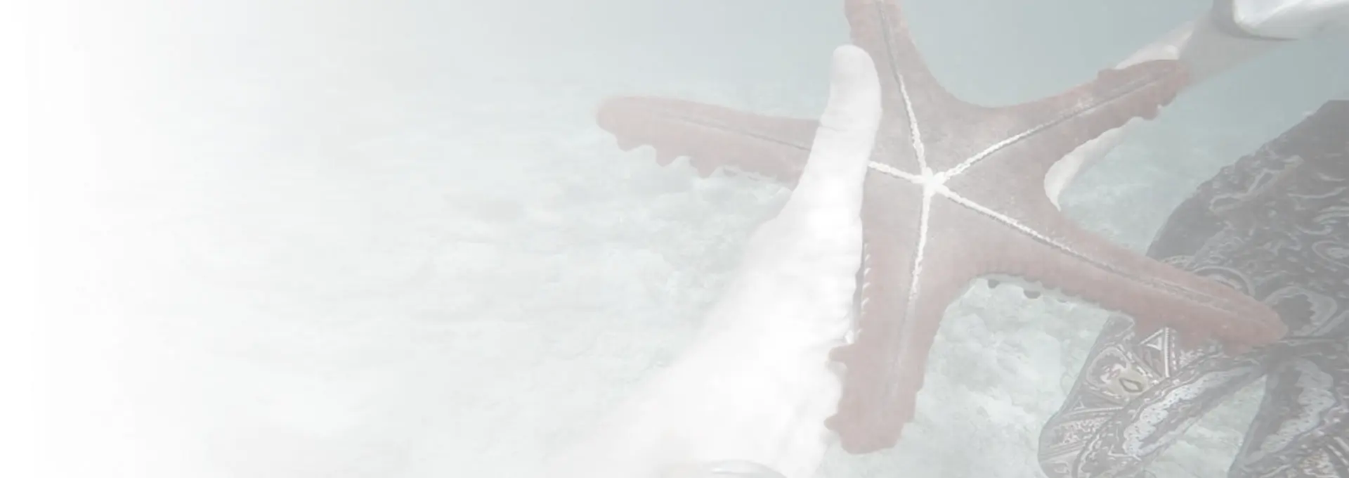Service Banner