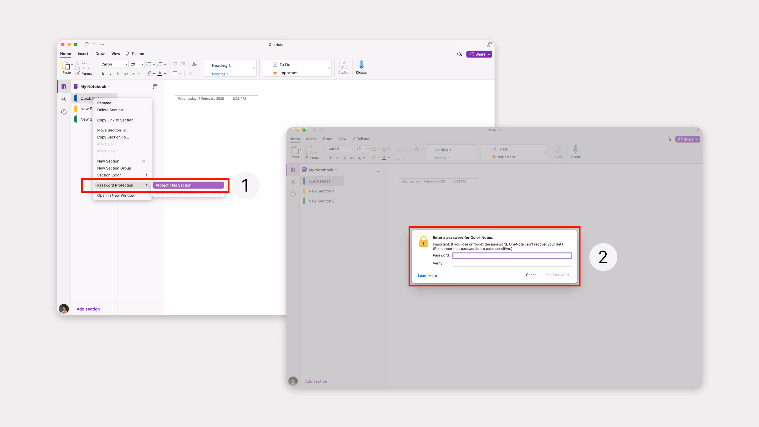 OneNote pages password protection 