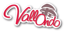 logo setas vallondo