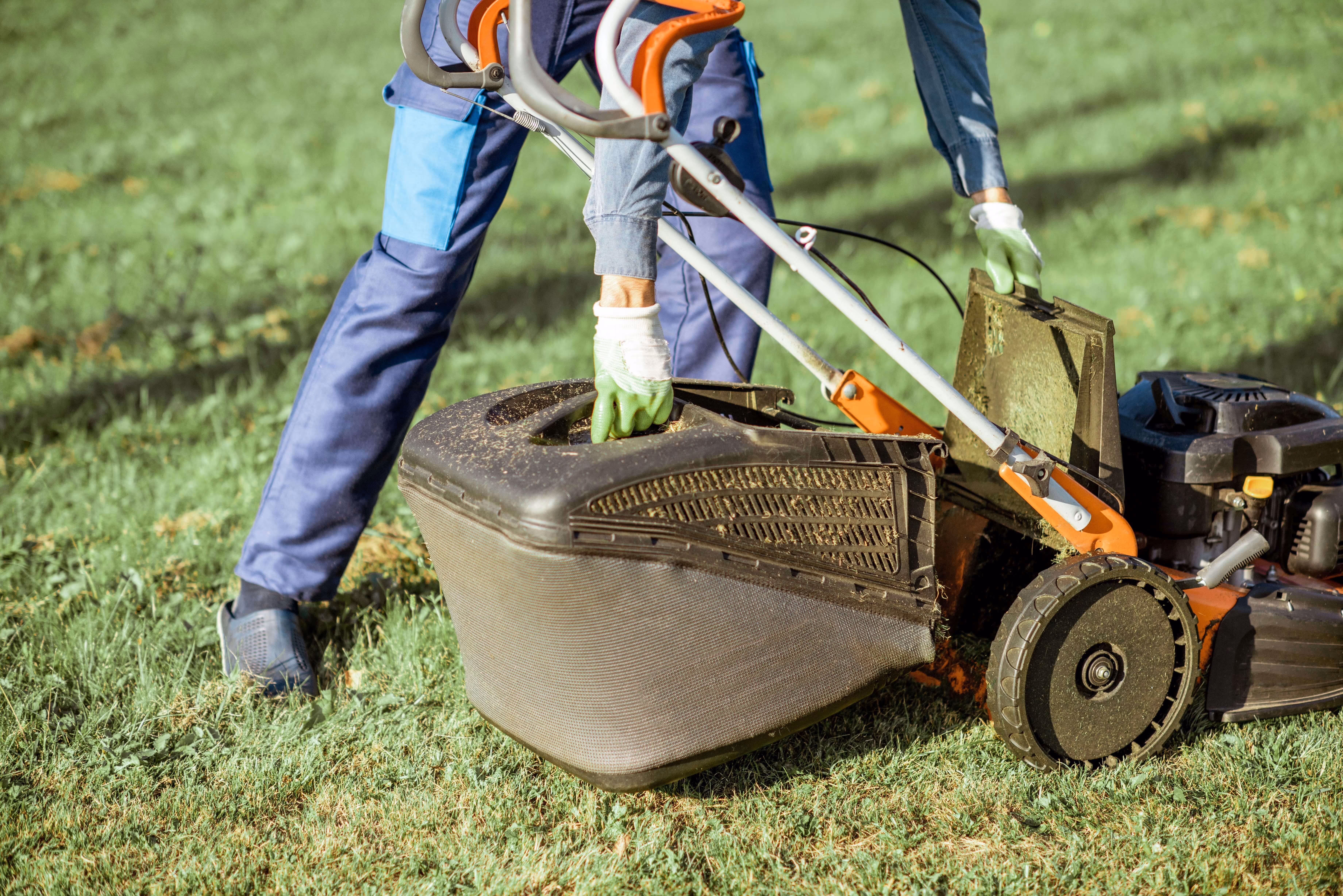 A person in work gloves and protective clothing is emptying the grass catcher of a lawn mower after mowing.