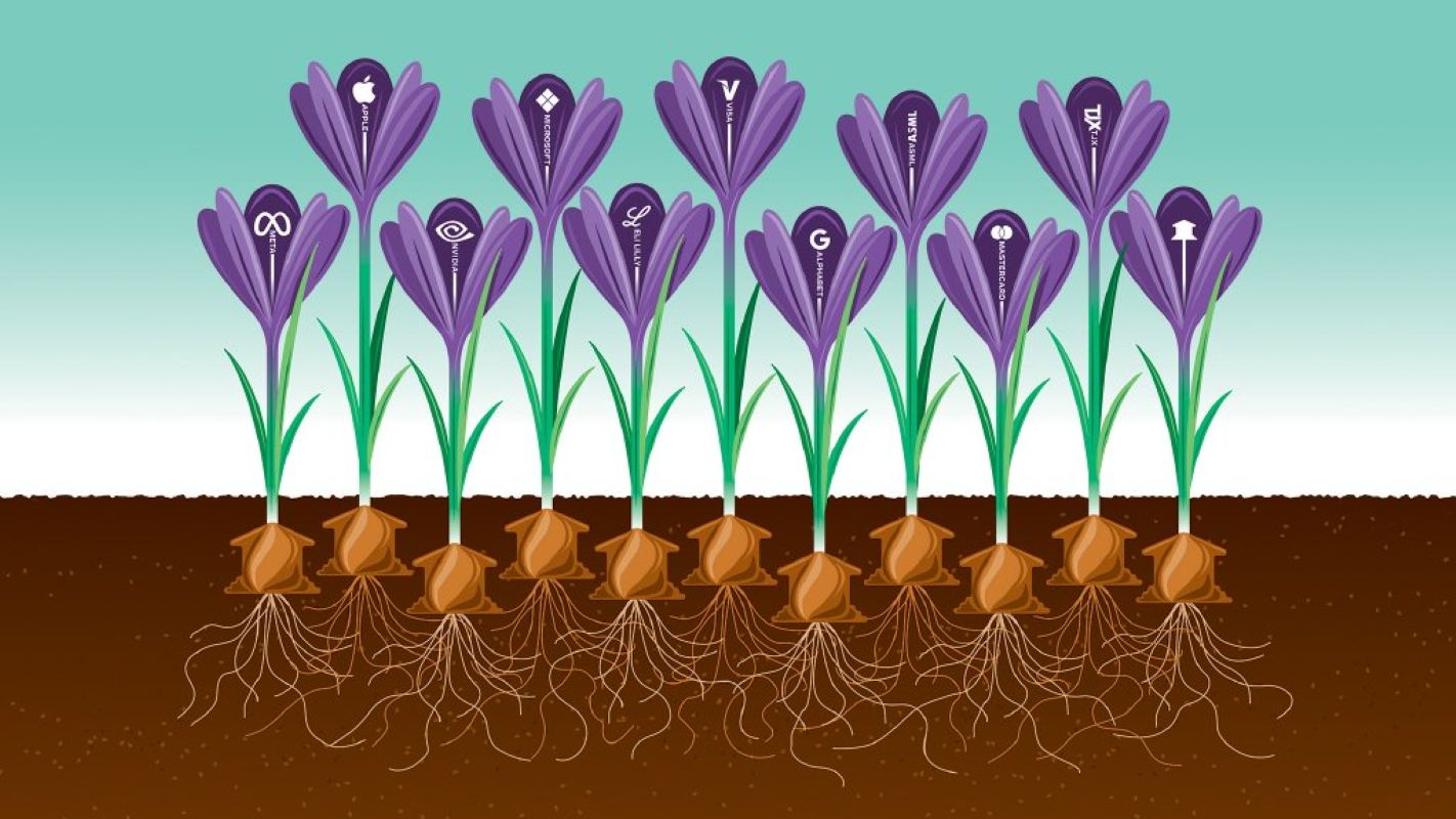 Tijd is rijp voor comeback kwaliteitsaandelen